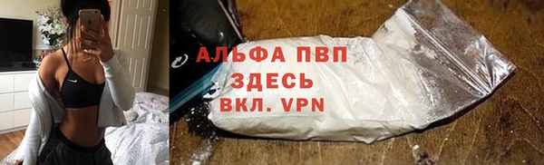 дживик Верхний Тагил