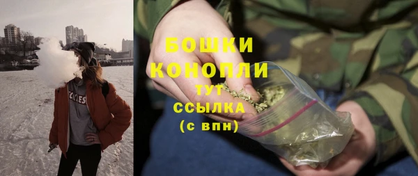 дживик Верхний Тагил