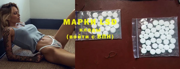 дживик Верхний Тагил
