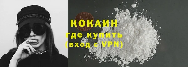 дживик Верхний Тагил