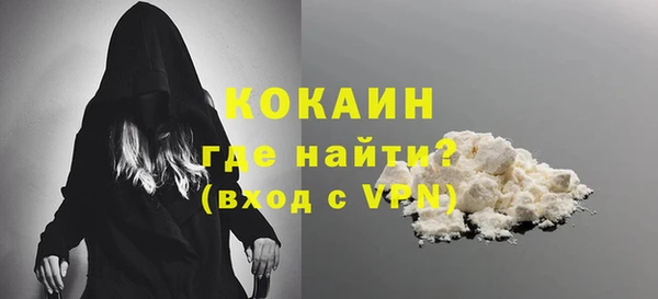 дживик Верхний Тагил