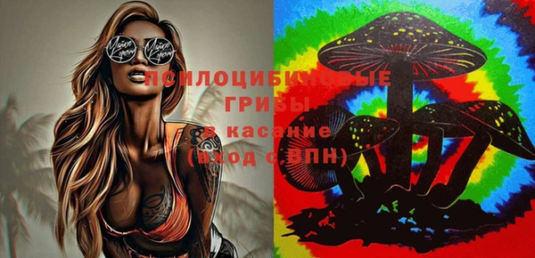 дурь Верея