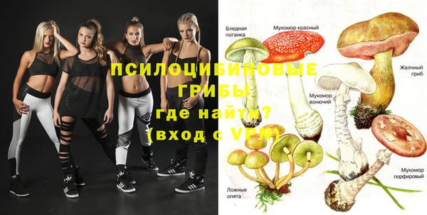 дурь Верея
