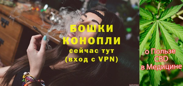 дживик Верхний Тагил