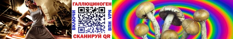 кракен ТОР  Карабулак  Псилоцибиновые грибы Cubensis 