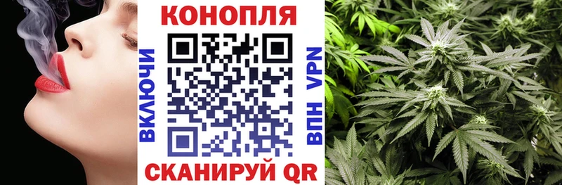Бошки марихуана конопля  мориарти наркотические препараты  Карабулак  как найти закладки 
